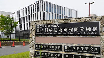 量子研：早期乳腺癌无需切除, 重离子线治疗有效