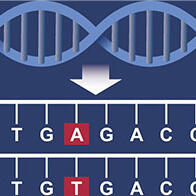 九州大学初创企业与京都大学iPS研究财团签订基因组编辑联合研究协议