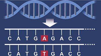 九州大学初创企业与京都大学iPS研究财团签订基因组编辑联合研究协议