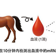 理研开发出全球首个mRNA基因类兴奋剂检测技术，只用一滴血10分钟内即可检出mRNA药物