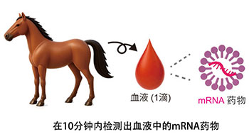 理研开发出全球首个mRNA基因类兴奋剂检测技术，只用一滴血10分钟内即可检出mRNA药物