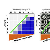 大阪大学产研等利用新开发的雅努斯纳米颗粒恢复抗菌药效，有望解决耐药菌难题