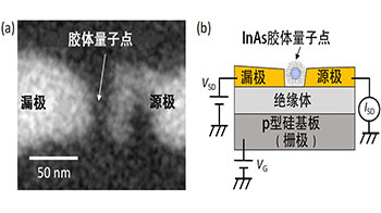 日本东北工业大学实现单胶质量子点自旋控制，有望应用于电子器件