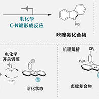 横滨国立大等研发出新型电化学开关型催化分子，实现质子与电子的协同迁移