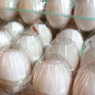 日本成育医疗中心：早期摄入鸡蛋，过敏病例并未见显著减少