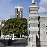 京都大学发现抑制工作意愿的脑神经，为阐明抑郁症机制开辟道路