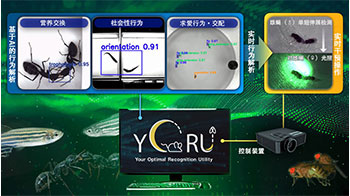 名古屋大学开发AI工具，解析生物复杂行为