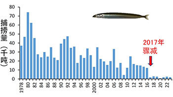 广岛大学解明玉筋鱼捕捞量为何在2017年骤减？