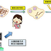 顺天堂大学开发出新型不孕症治疗方法：口服肾病药物“非奈利酮”对早发闭经有效