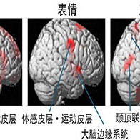 理研：不是“因快乐而笑”而是“因为笑所以快乐”