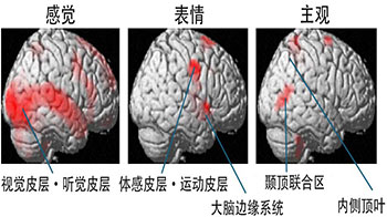 理研：不是“因快乐而笑”而是“因为笑所以快乐”