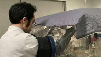 名古屋大学发现肠道细菌引发便秘的新机制