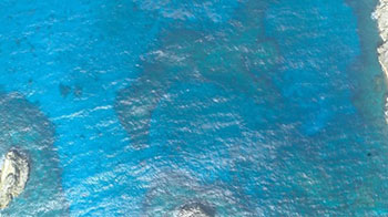 日本海上保安厅于小笠原诸岛海域发现日本境内第三处海底喀斯特地形