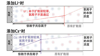 理研：有效抑制水电解产生的氯气，新型扩散层有望减少离子电极到达量