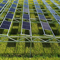 千叶大学等调查光伏板对水稻的“遮阳伞”效果，可维持产量