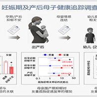 东北大学：母亲围产期抑郁对子女行为特征的影响存在性别差异，女童较为显著