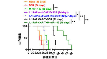 东海大学提出白血病CAR-T治疗新策略，联合microRNA同时增强治疗效果与持久性