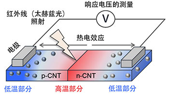 京都工艺纤维大学等开发出基于半导体碳纳米管的无需冷却高灵敏度红外传感器，实现内部结构的非破坏性观察