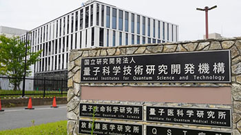 量研机构开发出可同时用于治疗和诊断的放射性药物，已在小鼠中验证有效