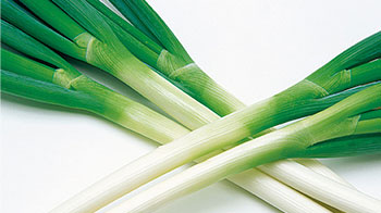 埼玉工业大学用深谷葱制造塑料产品，升级废弃物回收提振农户活力