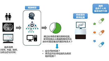 东京大学开发出可提升血液癌症基因面板检测精度的预测模型