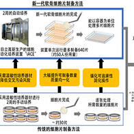 东海大学确立软骨细胞片大量生产技术，为膝骨关节炎“保关节治疗”开辟道路