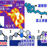 九州大学与东京科学大学发现界面非平衡行为决定胶粘剂性能，有望开发出“牢固粘接、轻松剥离”的新技术