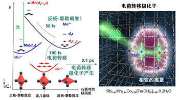 东京大学等发现光诱导相变的“摇篮”，全球首次同时观测到超高速X射线的吸收与衍射光谱
