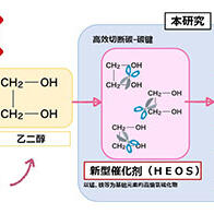 高知工科大学与东京科学大学开发出多元素催化剂，将废塑料转化为甲酸
