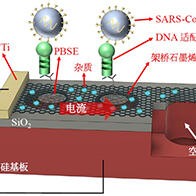 丰桥技科大、产综研、东洋大学合作开发出IoT生物传感器，同时测量病毒的“质量”与“个数”