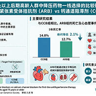 日本统计数理研究所等发现，高血压治疗药物ARB可降低高龄者死亡风险