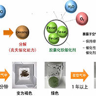北里大学与富士高分子工业：提升机硅固化用铁催化剂空气耐受性的胶囊化技术，为全球首创
