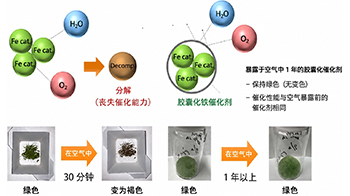 北里大学与富士高分子工业：提升机硅固化用铁催化剂空气耐受性的胶囊化技术，为全球首创