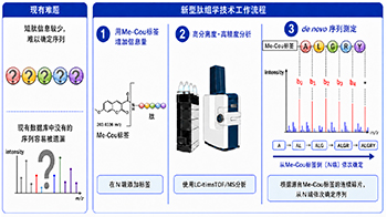 九州大学创立可测定肽序列的新型肽组学技术