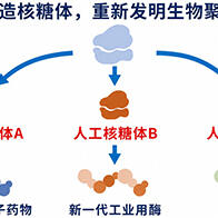 【JST事业成果】在试管内成功合成核糖体，有望用于开发有用物质