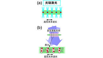 茨城大学与青山学院大学开发出无需谐振器即可调控光传播模式的新方法，向探明超荧光量子性大幅迈进