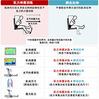 早稻田大学证实大腿后侧肌群力量训练也能使肌肉变柔韧