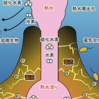 深海热液喷口附近的微生物通过“电合成”而非“光合作用”实现增殖