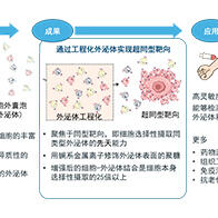 东京大学开发特定外泌体分选技术，有望用于癌症检测、药物递送及抗衰老治疗