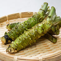 东京齿科大学利用山葵成分促进牙本质再生，治疗冷食引发的牙齿敏感疼痛