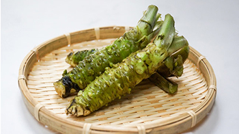 东京齿科大学利用山葵成分促进牙本质再生，治疗冷食引发的牙齿敏感疼痛