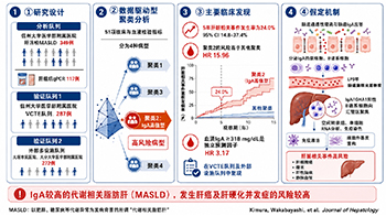 信州大学等：需警惕血清中IgA高值，为代谢相关脂肪肝的风险因子
