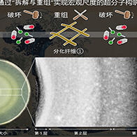 京都大学开发出仿生超分子构筑新方法，可自主组装多种空间结构