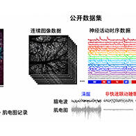 理研公开小鼠在清醒、自然睡眠、麻醉状态下大规模脑细胞活动数据集