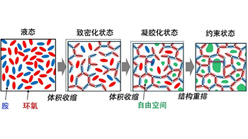 九州大学发现凝胶化后的粘合剂仍可发生结构重排，有望成为汽车与飞机轻量化的新型粘接技术
