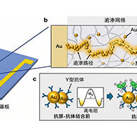 日本东北大学开发出基于新原理的生物传感器，仅需约30秒即可测定靶蛋白浓度