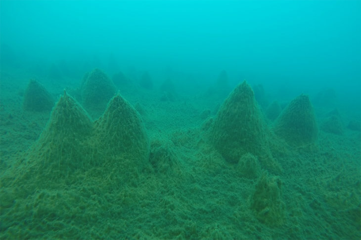 南极湖泊沼泽（斯卡夫斯内斯的长池）下生长的拥有特殊三维结构的生物集群（苔藻堆