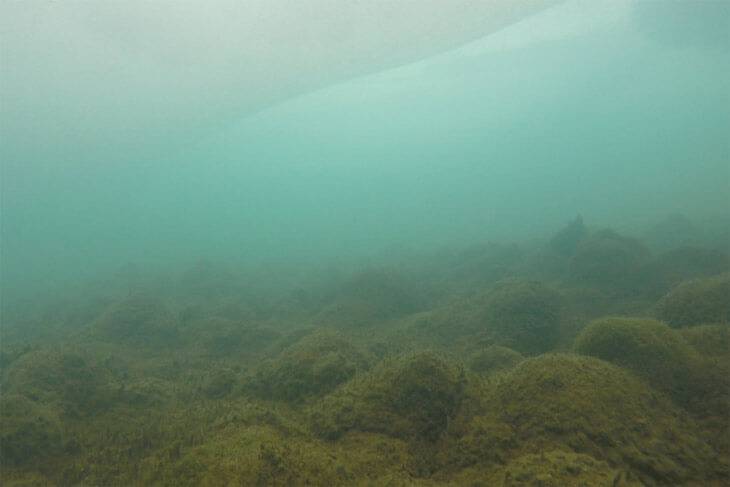 斯卡夫斯内斯的Kuwai池下生长的苔藻堆