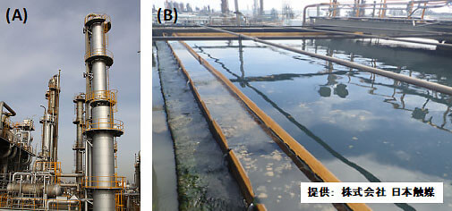 日本发现多种微生物可协作稳定分解工业废水中的有害物质1,4-二恶烷