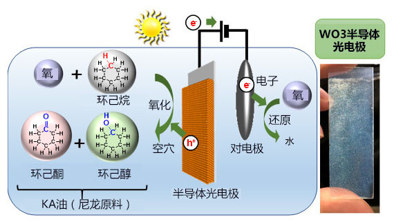 利用太阳能和氧化物光电极合成尼龙原料的模式图（左）与光电极的照片(右)